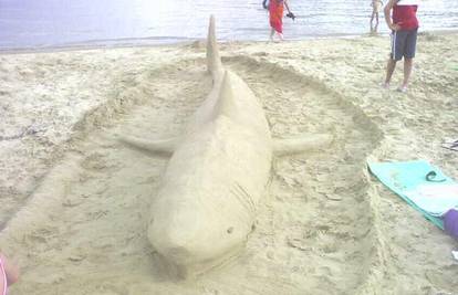 Rab: U pijesku napravili morskog psa od 2,5 metra