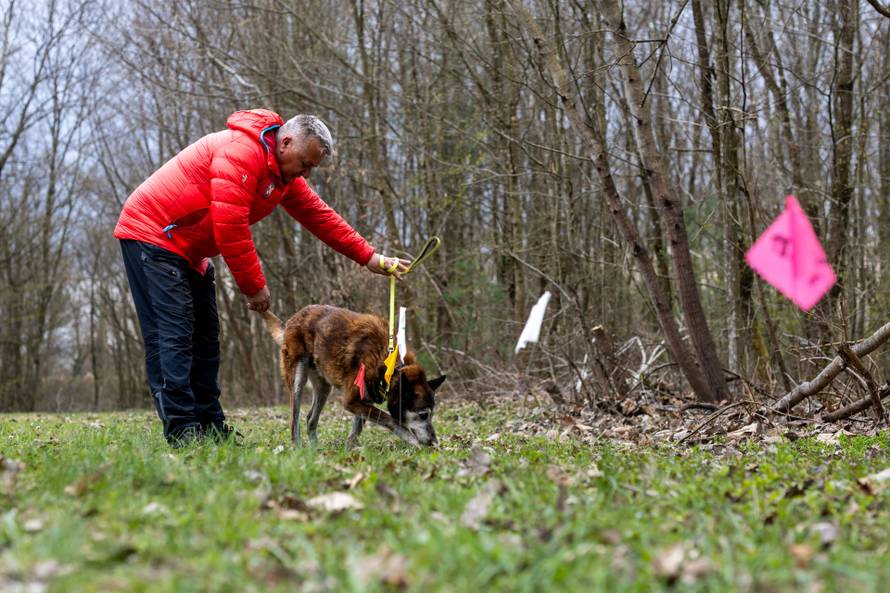 24sata Zagreb: HGSS-ov potražni pas Dracko i njegov vodič Kruno Stipetić