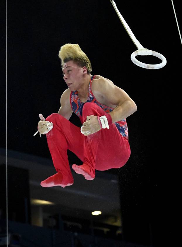 Zagreb: Europsko prvenstvo u muškoj sportskoj gimnastici