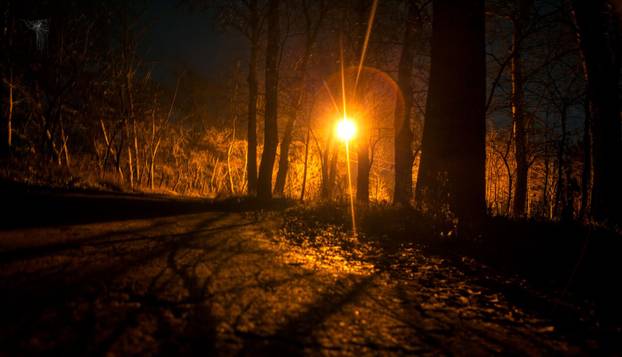 FOTO Djecu je prestravilo ono što su vidjela u šumi:  'Čudovište je bilo ogromno, bježali smo...'