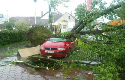 Vinkovci: Olujno nevrijeme čupalo stabla i rušilo hale