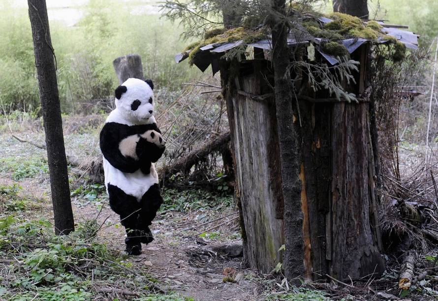 REUTERS/PIXSELL