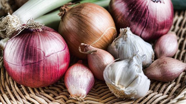 Onion Family