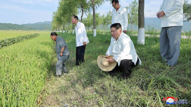 North Korean leader Kim Jong Un tours typhoon-affected farms in Anbyon County