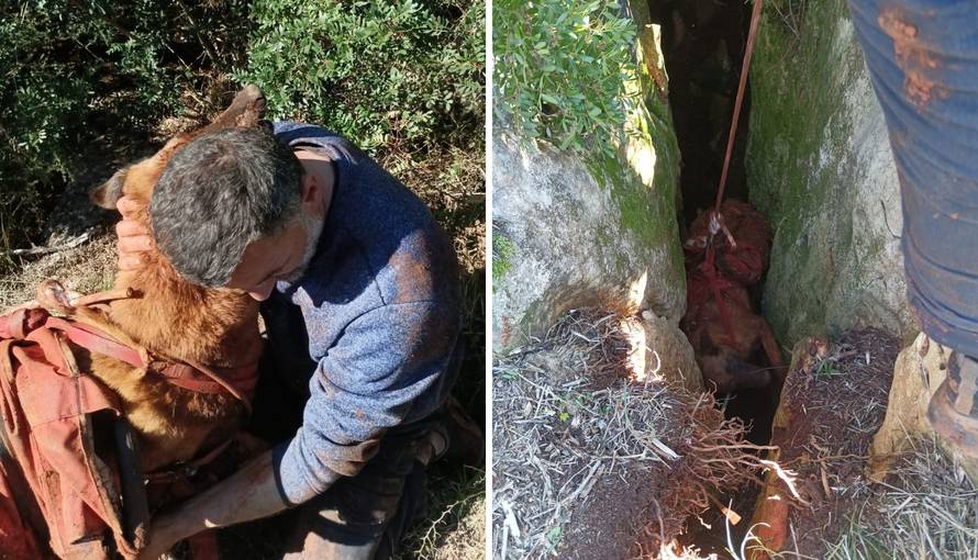 Pas upao u jamu na Dugom otoku, a za njim pao i vlasnik. HGSS ih izvukao s 20 metara