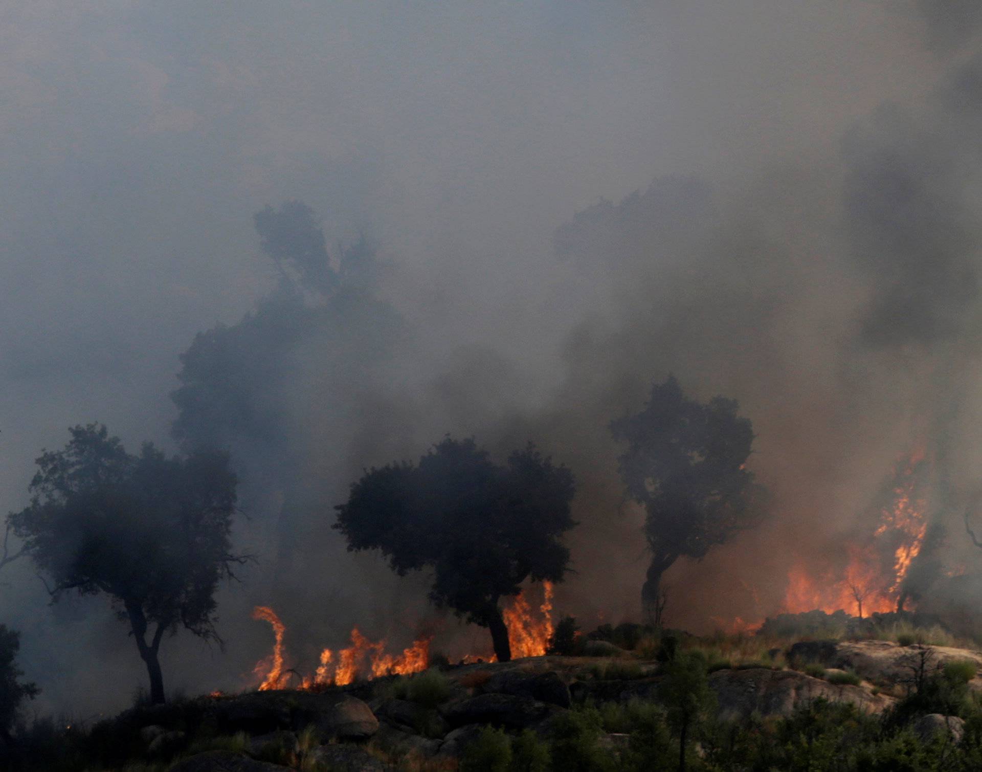 Trees are seen burning near Lagoaca