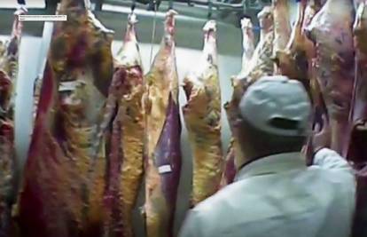 U Sloveniji pronašli dvije tone sumnjive govedine iz Poljske