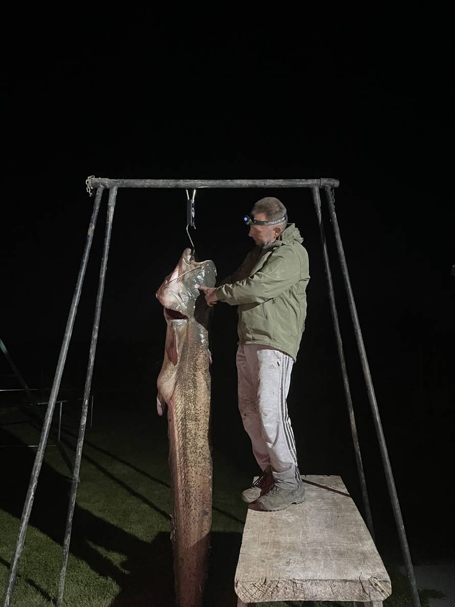 Iz Drave ulovio soma od 56 kila: 'Bila je to borba između njega i mene, još uvijek me bole mišići'