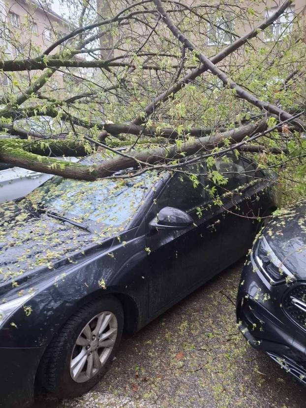 FOTO Apokalipsa u Zagrebu: Stabla drobila automobile, izdano novo upozorenje!