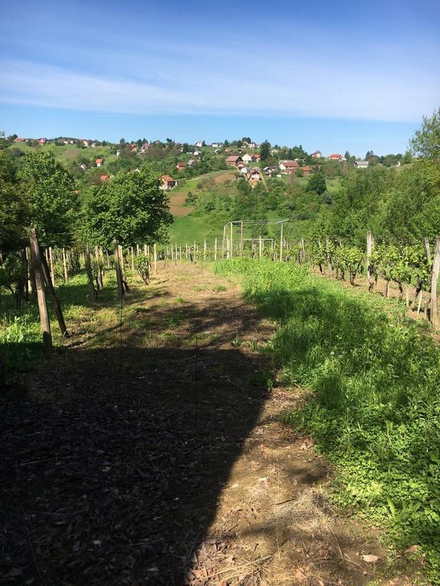 Kod Varaždina prodaju kuću od 9 m2! Nema dozvolu, struju ni vodu. Makadam je. Evo cijene