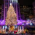 VIDEO Bez ovog drvca nema Božića u New Yorku - okitili su ga sa preko 50.000 lampica