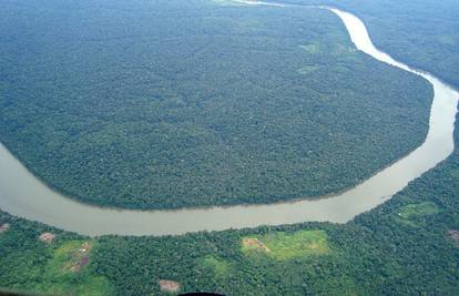 Amazonska prašuma mogla bi uskoro nestati