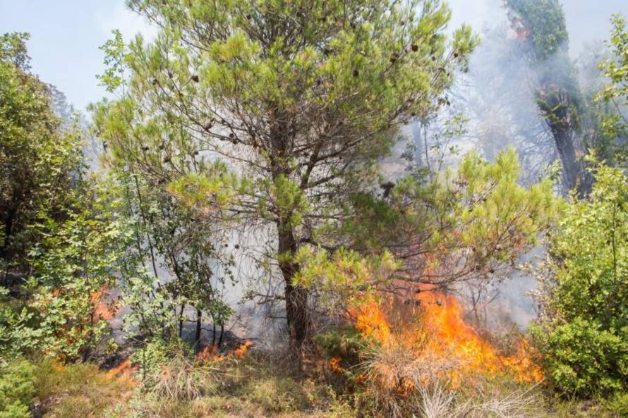  Grgo Jelavic/PIXSELL