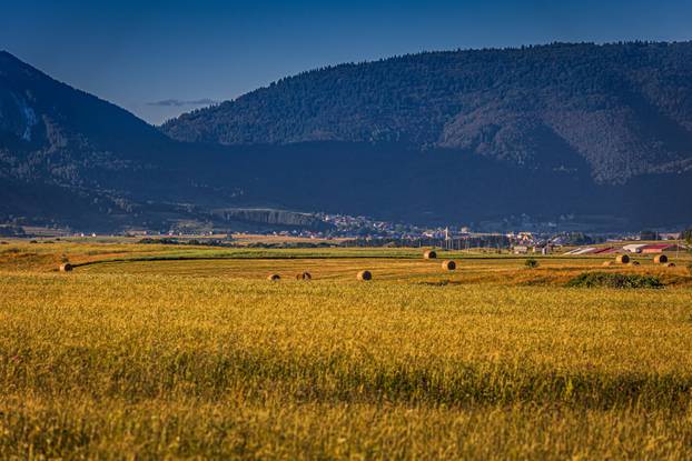 Ljetno poslijepodne na Kupreškoj  visoravni