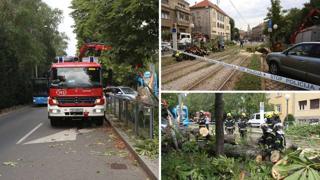 Nesreća u centru Zagreba: 'Palo je stablo i ozlijedilo jednu ženu'