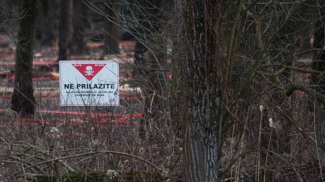 Šuma između Osijeka i Bilja još uvijek je opasna zbog velike količine zaostalih mina