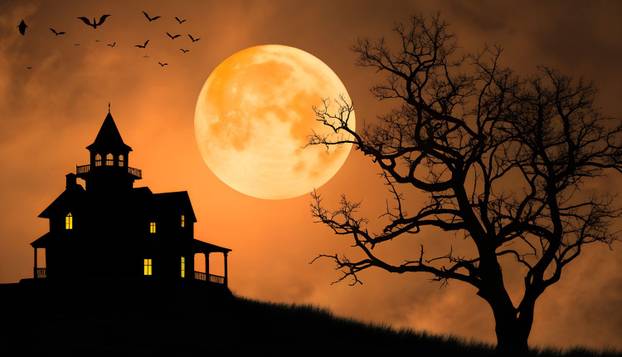 FOTO Jezive internet horor priče koje lede krv u žilama: Nije vas strah? Zavirite u svijet jeze...