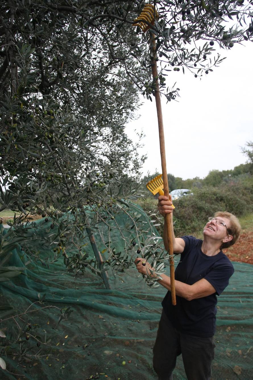 Duško Marušić/PIXSELL