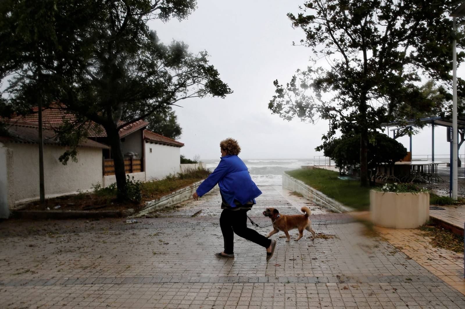 A woman walks her dog near the sea near the town of Amaliada, as a rare storm, known as a Medicane (Mediterranean hurricane), hit western Greece