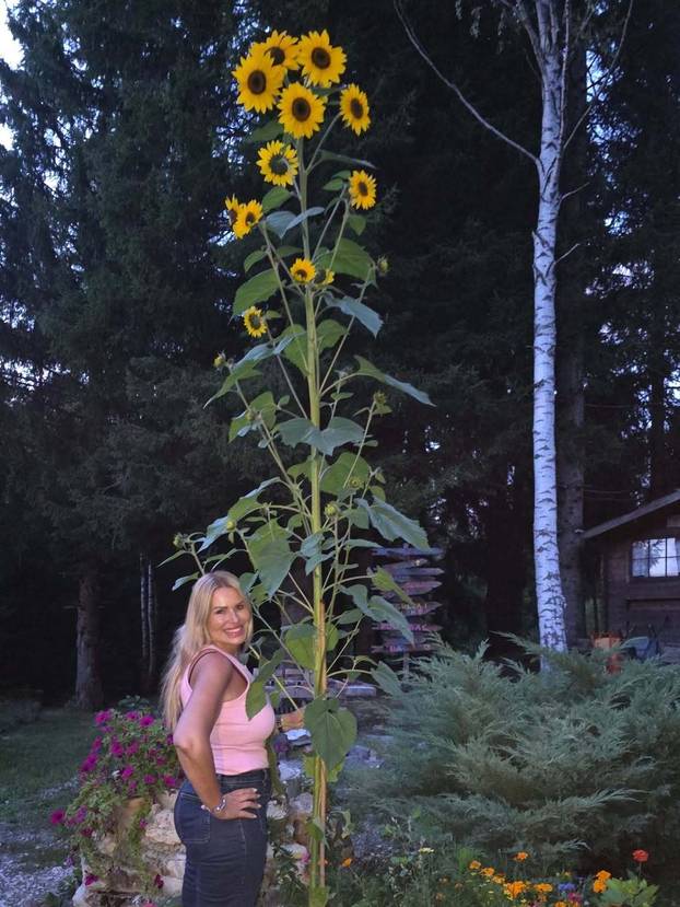 FOTO Iva Todorić je među cvijećem pronašla sreću: Podijelila fotke svog vrta