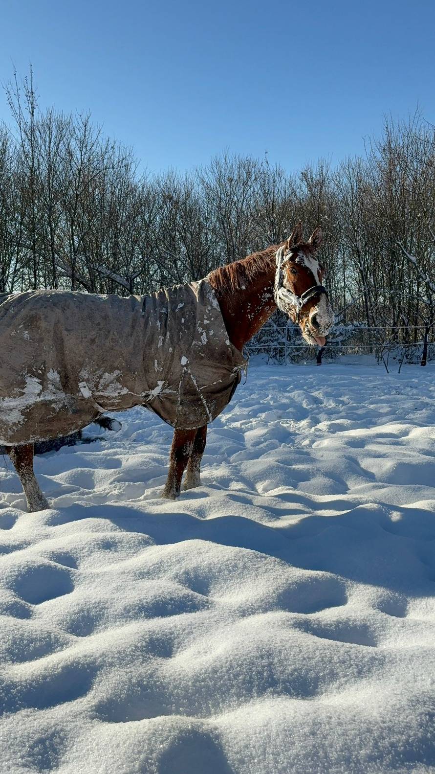 Općinska komunalka sama 'izlopatala' snijeg sa staze: 'Nema nikakve drame u tome'