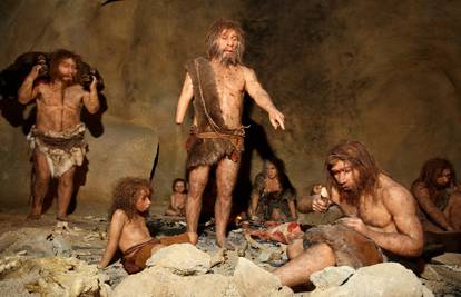 Seksa između neandertalaca i ljudi bilo je prije 100.000 god.