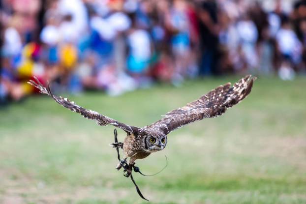 Otvoren je  13. Srednjovjekovni festival u Svetvinčentu