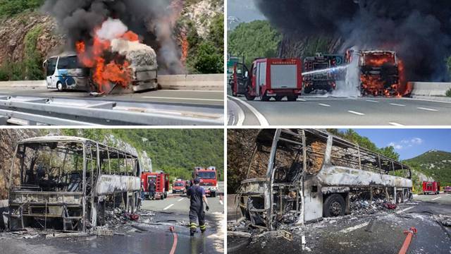 Video: Autobus je izgorio kod Rijeke, požar se širio i na šumu