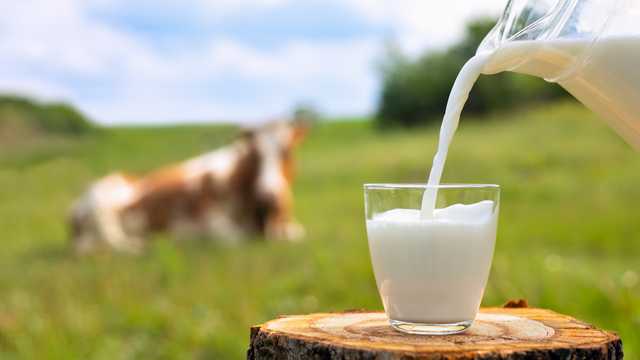 Austrijski stočari bijesni su zbog reklame Tirola koristeći zobeno mlijeko: 'Tu nema poštovanja'