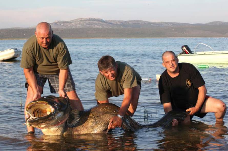 Željko Mršić/Pixsell