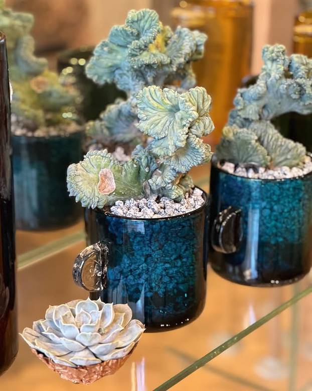 FOTO Tajne kralja cvjetnih aranžmana: 'S Majkom Terezom sam jeo uskršnji doručak'