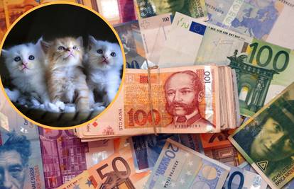 Đurđevcu je ostavila 30 tisuća dolara, a mačkama tri milijuna!