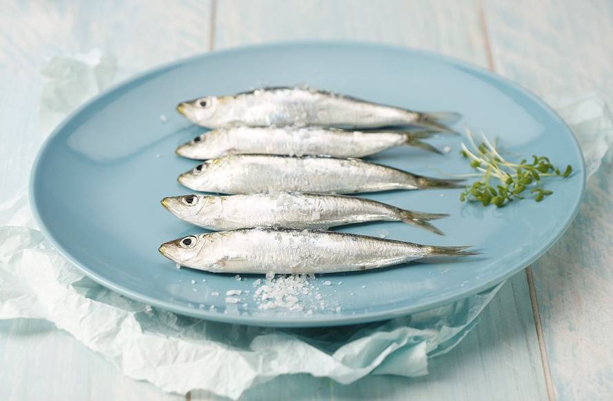 Održivost u ribljoj industriji: Kako čuvamo oceane?