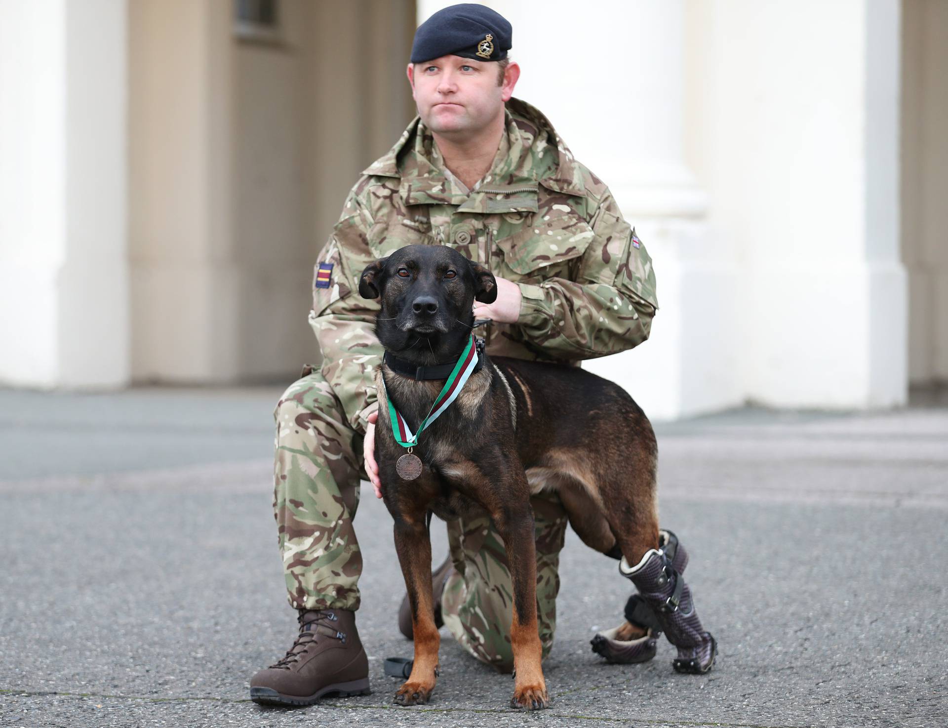 PDSA Dickin Medal for valour