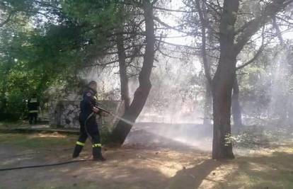Brzi vatrogasci ugasili su stablo u autokampu Preluk