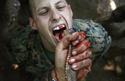 Američki marinci piju kobrinu krv, jedu kukce i ubijaju kokoši
