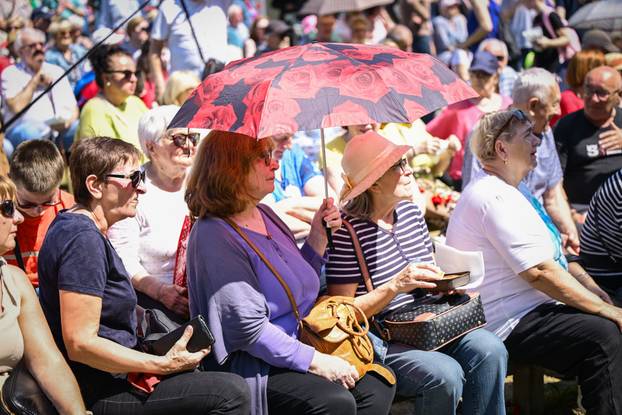 Zagreb: Atmosfera na koncertu na proslavi Međunarodnog praznika rada na Maksimiru