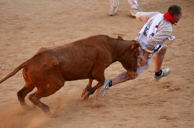 A reveller runs away from a wild cow at the bullring