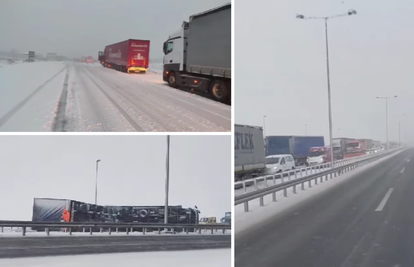 Snijeg paralizirao Srbiju: Kaos u prometu, prevrnuti kamioni, u Beogradu palo drvo na dijete