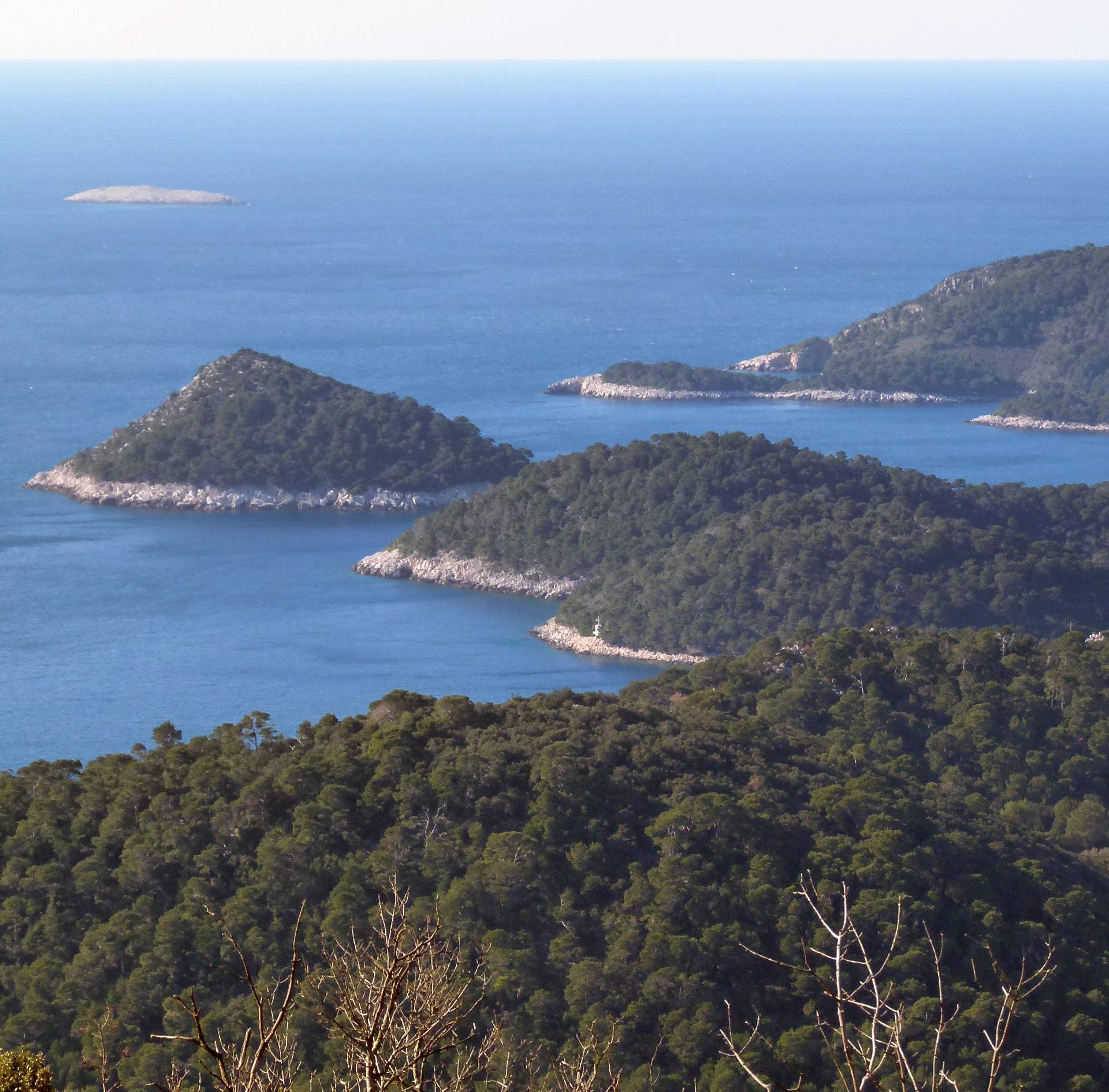 Uhljebi u panici: Sutkinja im je srušila pravo na rezervni posao