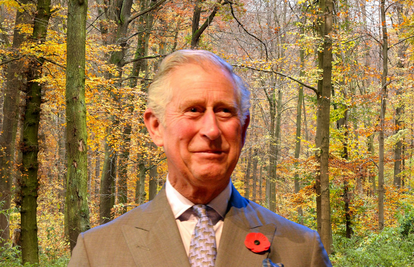 Sve zbog Kraljice: Princ Charles pozvao na obnovu starih šuma