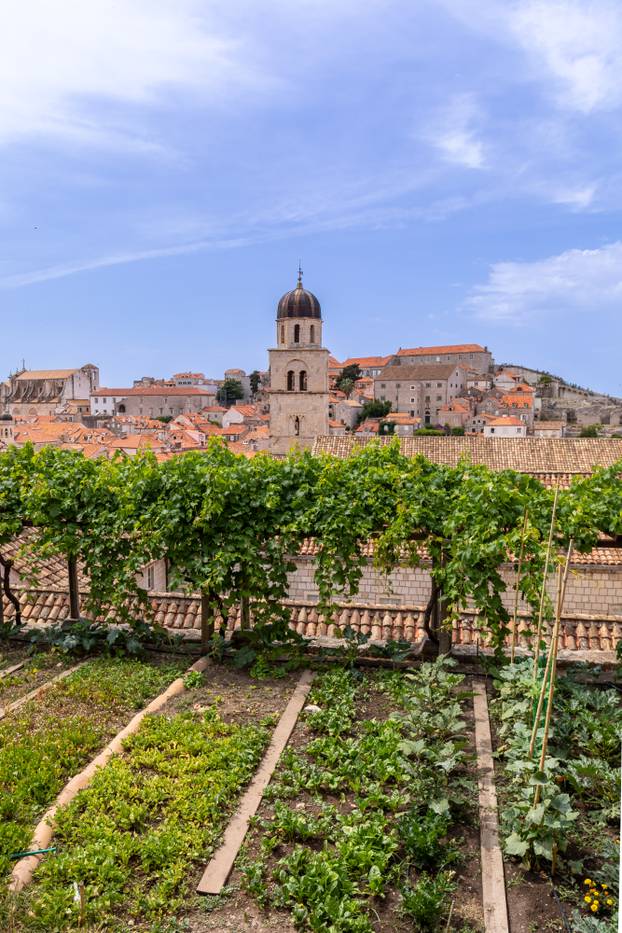 Dubrovnik: Vrtovi franjevačkog samostana