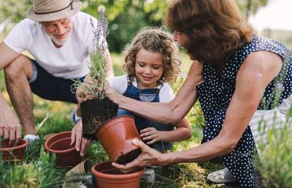 Zelena oaza mira: Znate li da vrtlarstvo povećava vitamin D u tijelu i odgađa demenciju?