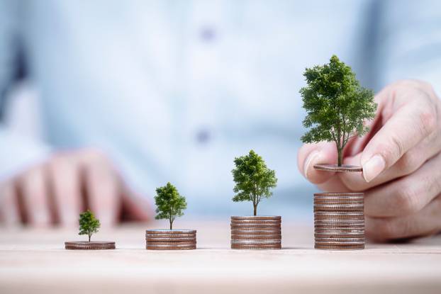 Money coin stack growing graph and a tree that grows on a pile o