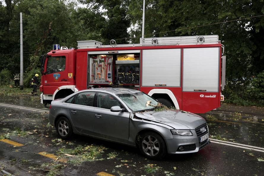Zagreb: Palo stablo na Maksimirskoj, blokiran promet, vatrogasci na terenu