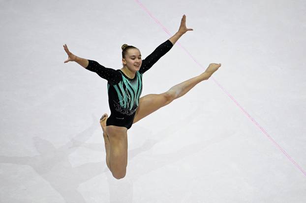 2025 World Artistic Gymnastics Championships