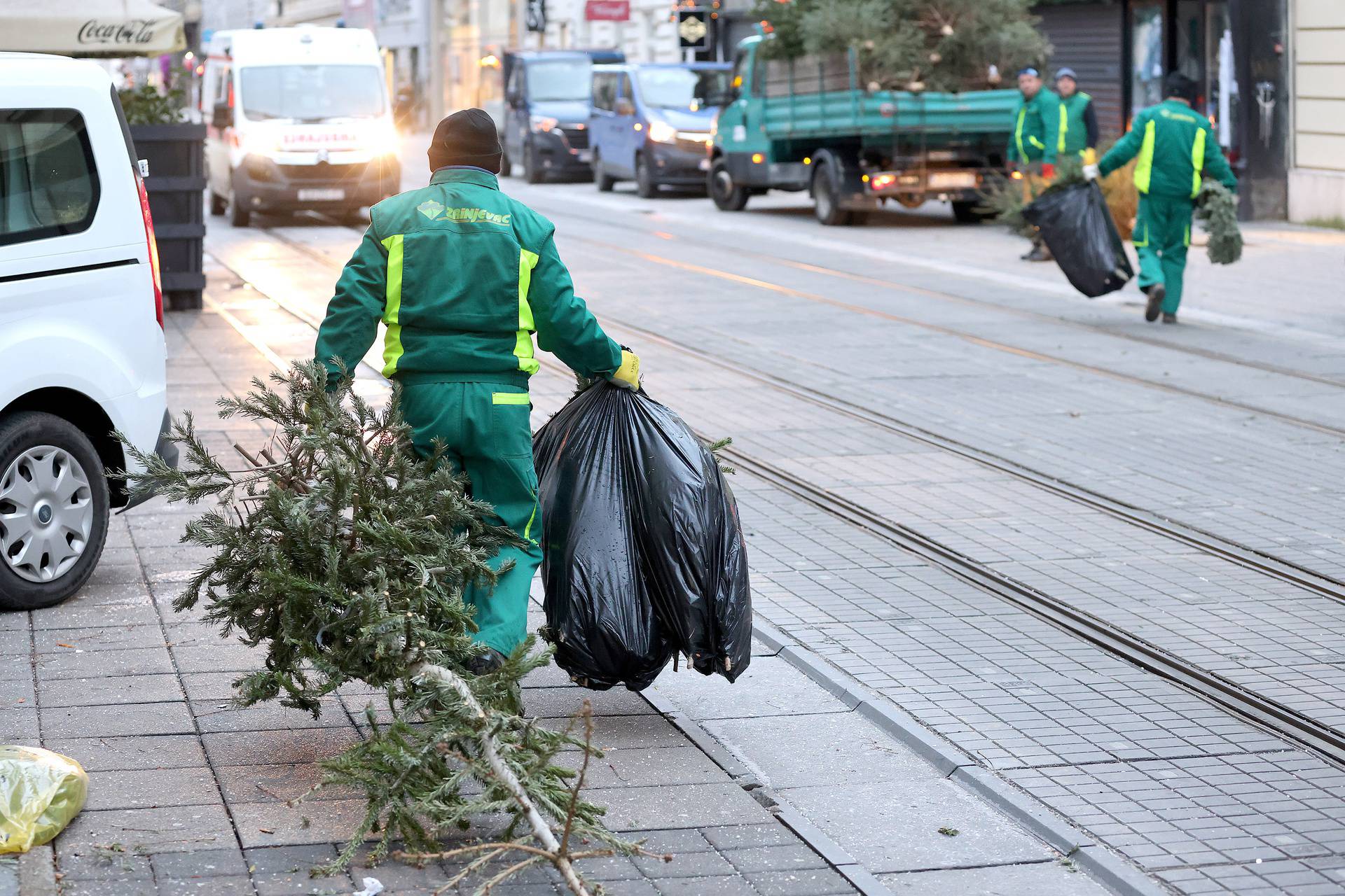 Zagreb: Počeo odvoz odbačenih borova