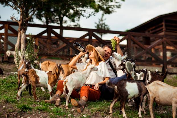 happy family, a man and a woman in a hat, relaxing and laughing on a farm, surrounded by goats, on a sunny day