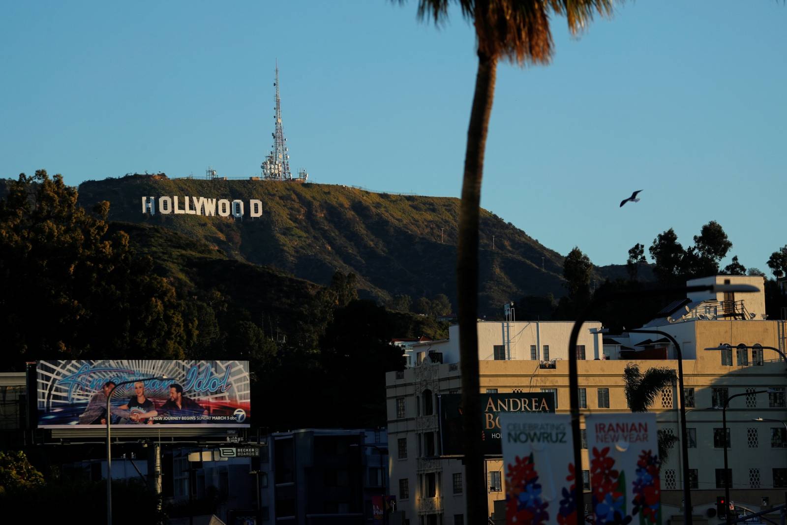 Morning light falls on the iconic Hollywood sign as preparations for the 91st Academy Awards continue in Los Angeles