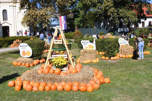 Ivanić Grad: Gastro manifestacija 'Bučijada u centru Ivanić Grada'
